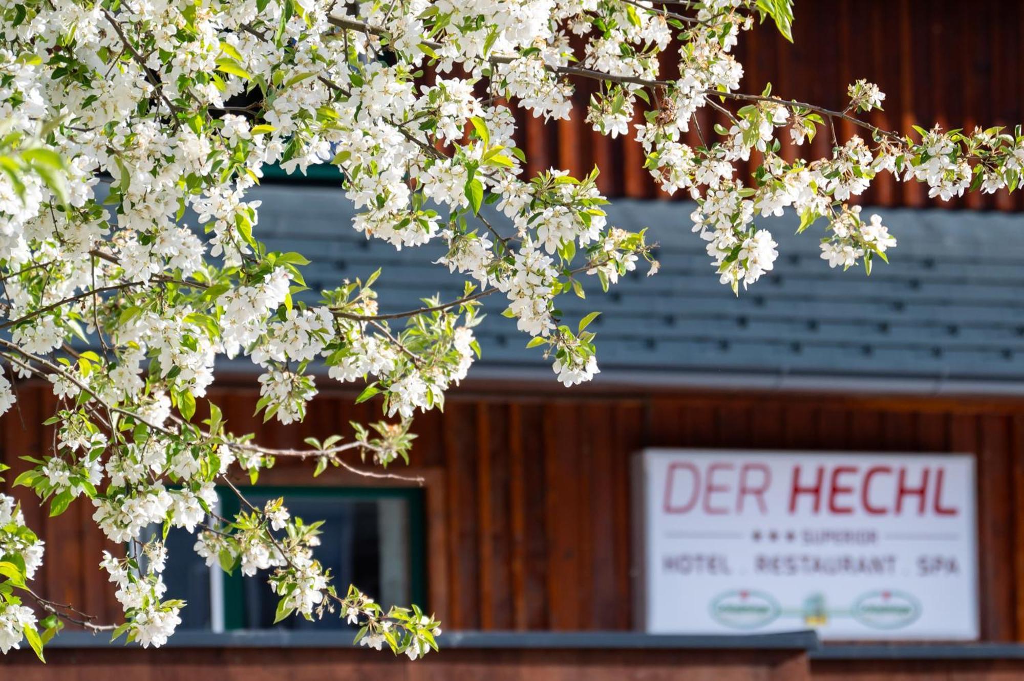 Hotel Der Hechl Tauplitz Esterno foto